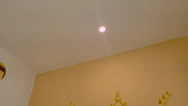 Nascary_Fox webcam