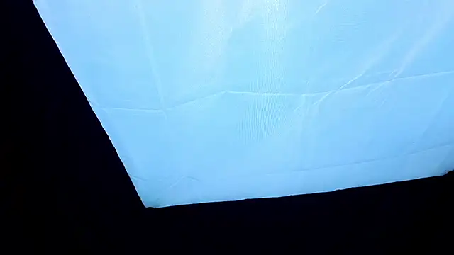 PerryKitty webcam