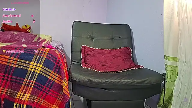 GreisyAndHazzan webcam