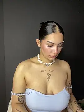 lora_meow webcam
