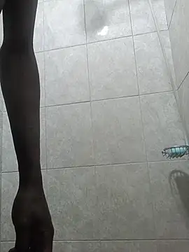 BigDpow webcam