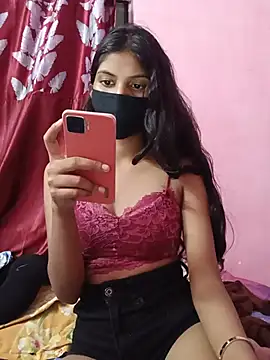 Amira-school webcam
