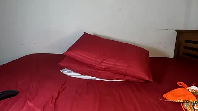 sahansa webcam