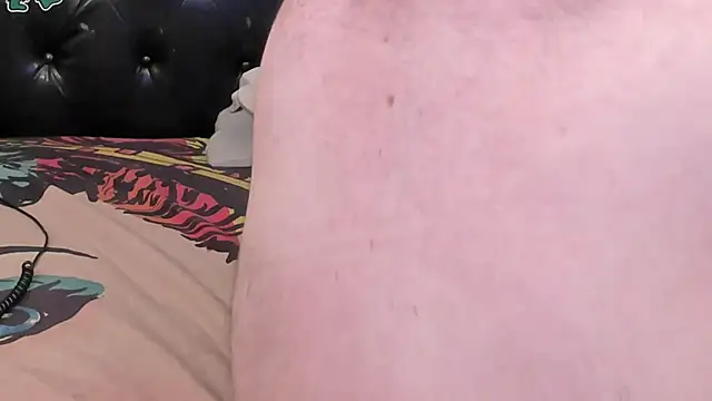 BIG_FAT_BEAR webcam