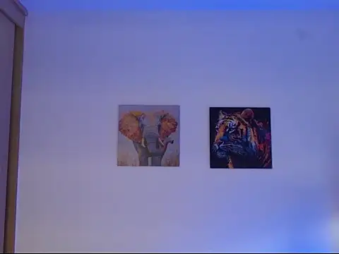 Jacobb_Phoenix webcam