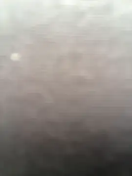 Elysianpair webcam