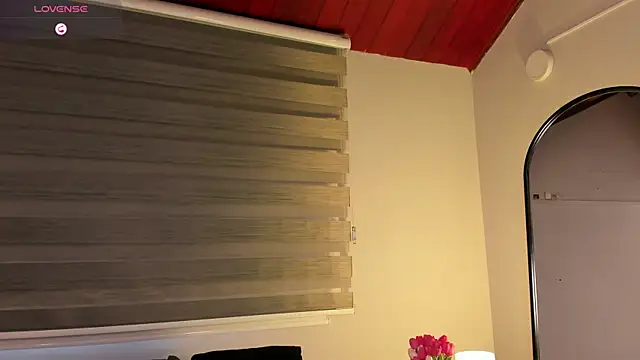 MERIDA_TAYLOR webcam