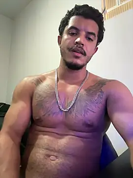 Sanicrt webcam