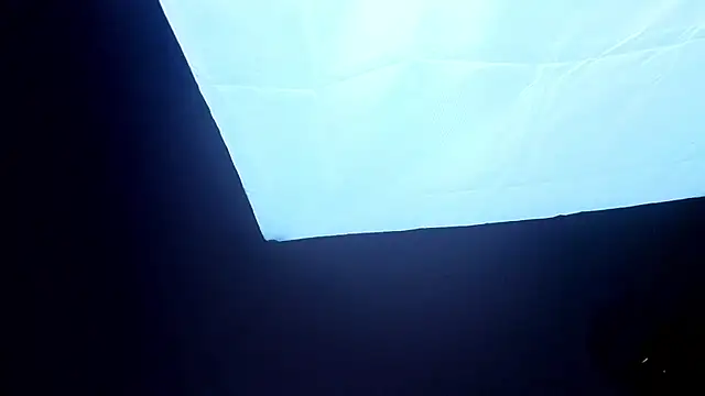 PerryKitty webcam