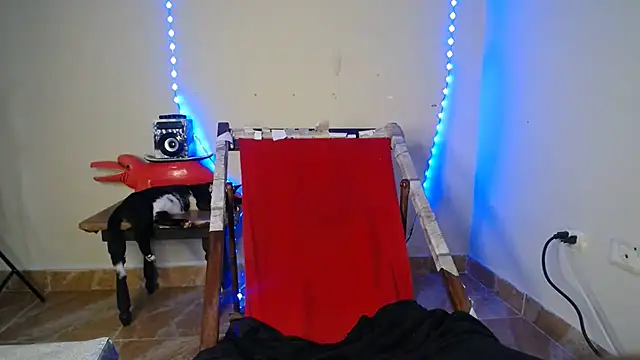 Candy_chloee webcam