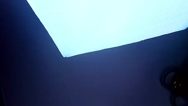 PerryKitty webcam