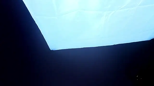 PerryKitty webcam