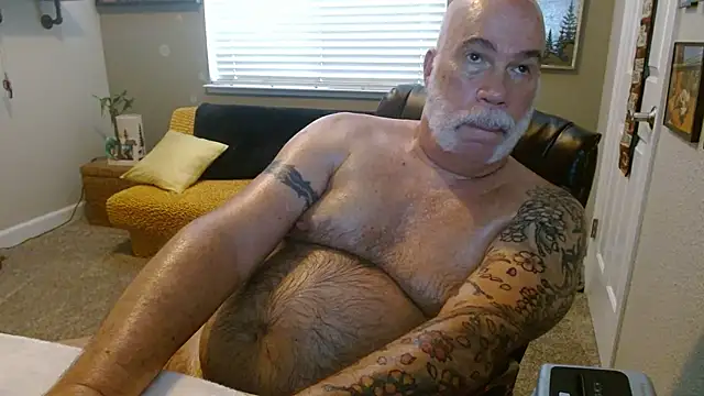 musclebearnips live cam on StripChat