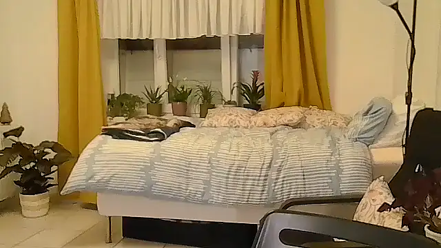 belgianshantie webcam