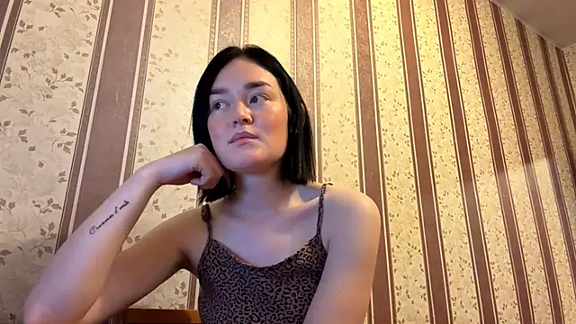 Snowmilly webcam