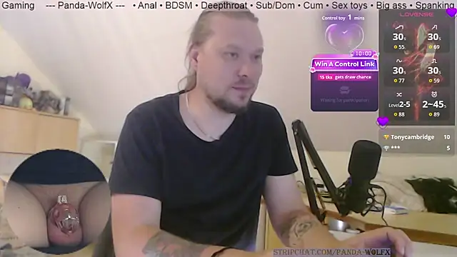 Panda-WolfX webcam