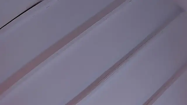 EvelynBlak1 webcam