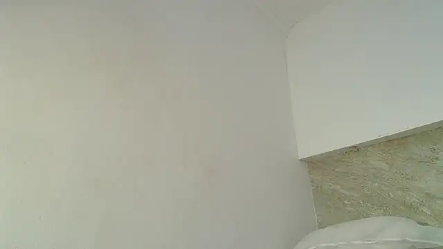 Dixie_grey1 webcam