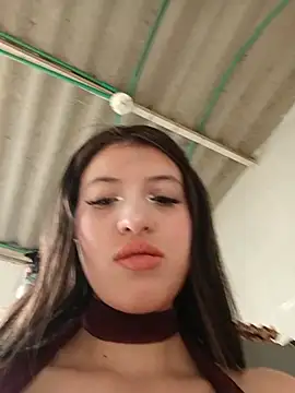 SALOME-28_ webcam