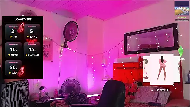 cellesthee webcam