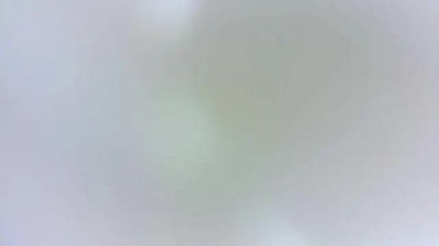 karol_stom webcam