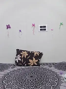 silkyhairs webcam