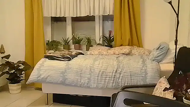 belgianshantie webcam