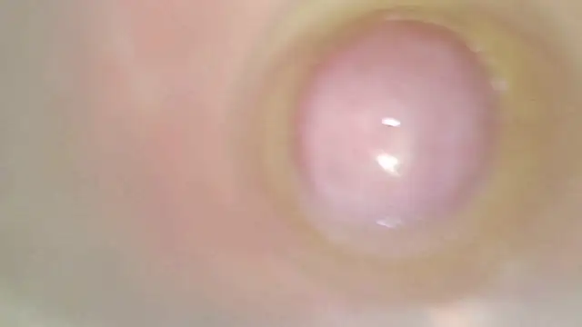 karol_stom webcam