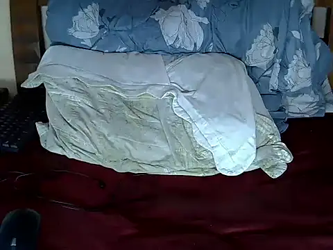 Your_Bunny255 webcam