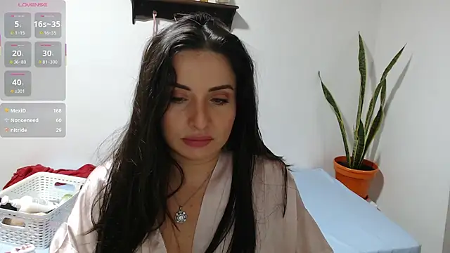Karlinlive webcam
