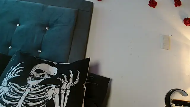3littles webcam