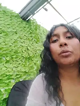 MELIZ_QUEEN