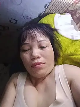 Sana-vn webcam