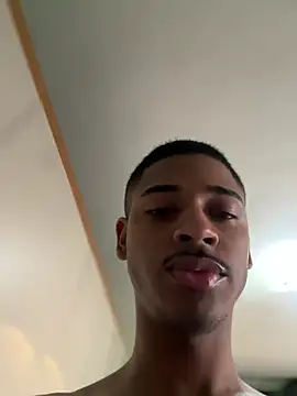 pretin19cm1 webcam