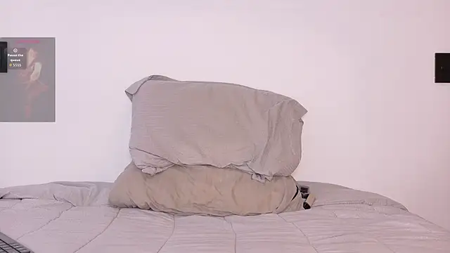Leoknight webcam