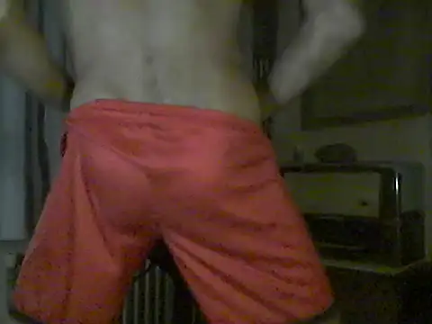 pigDany webcam