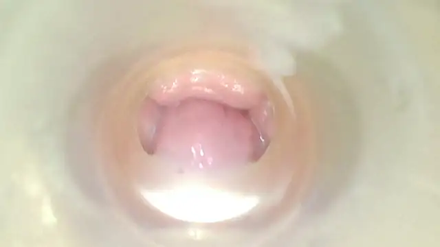 karol_stom