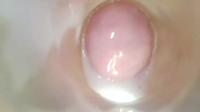 karol_stom webcam