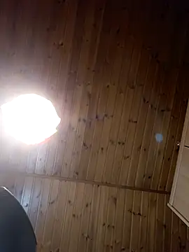 pigDany webcam