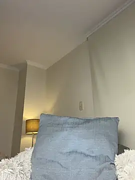 Samispank webcam