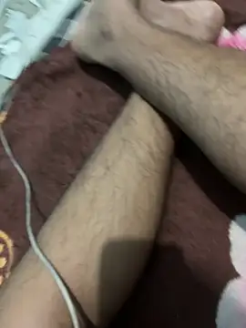 BullDominant_Master webcam