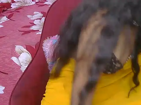 Hey-kashvi webcam