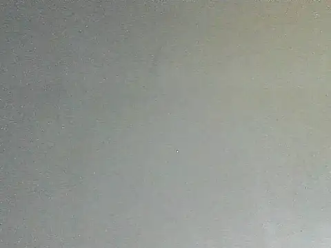 thomas2wood webcam