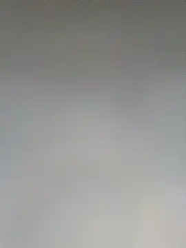 Ann_Houston_ webcam
