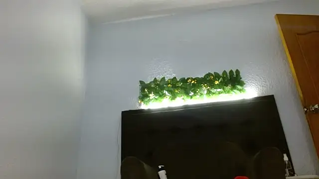 KellyRodriguezz webcam