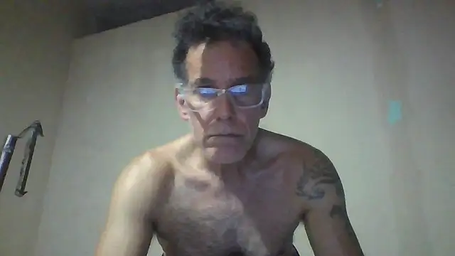 CaptainFox webcam