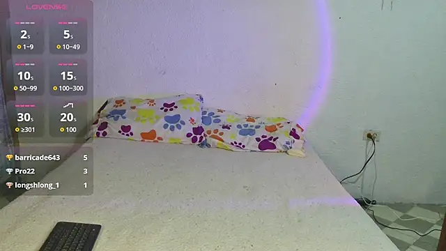 Valery_Durand webcam