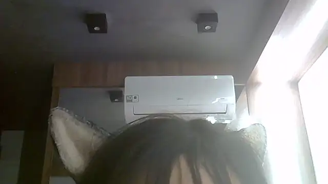 SkinnyKitten webcam