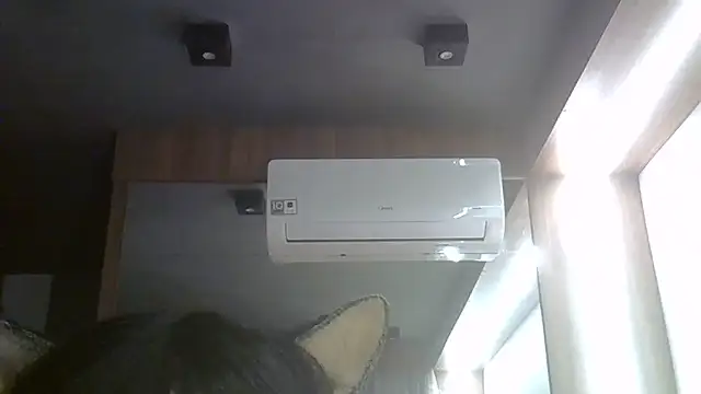 SkinnyKitten webcam