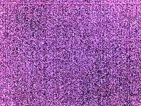 elturcudito webcam